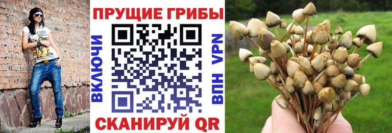 где купить наркоту  blacksprut ONION  Псилоцибиновые грибы GOLDEN TEACHER  Берёзовский 
